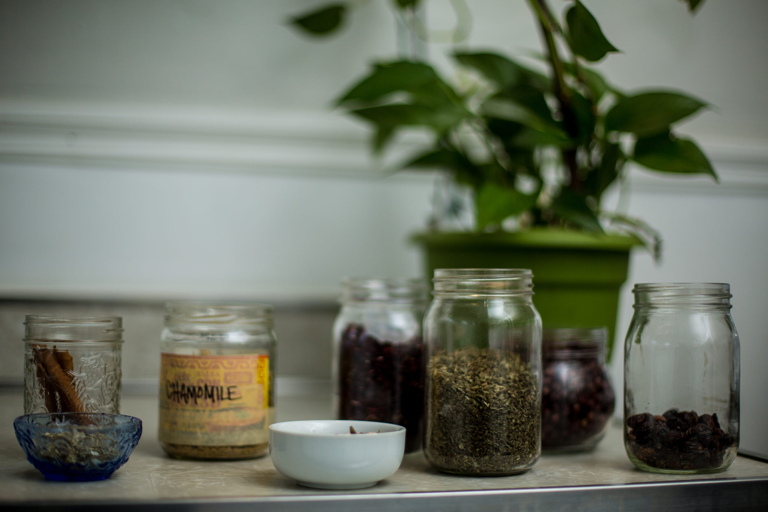 Ingredients for looseleaf teas in brand photography session